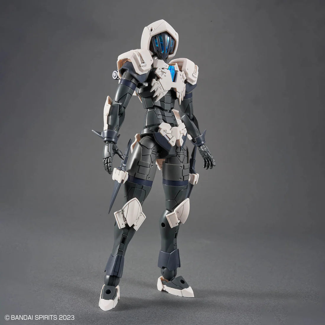 30 Minutes Fantasy Rosan Assassin Model Kit