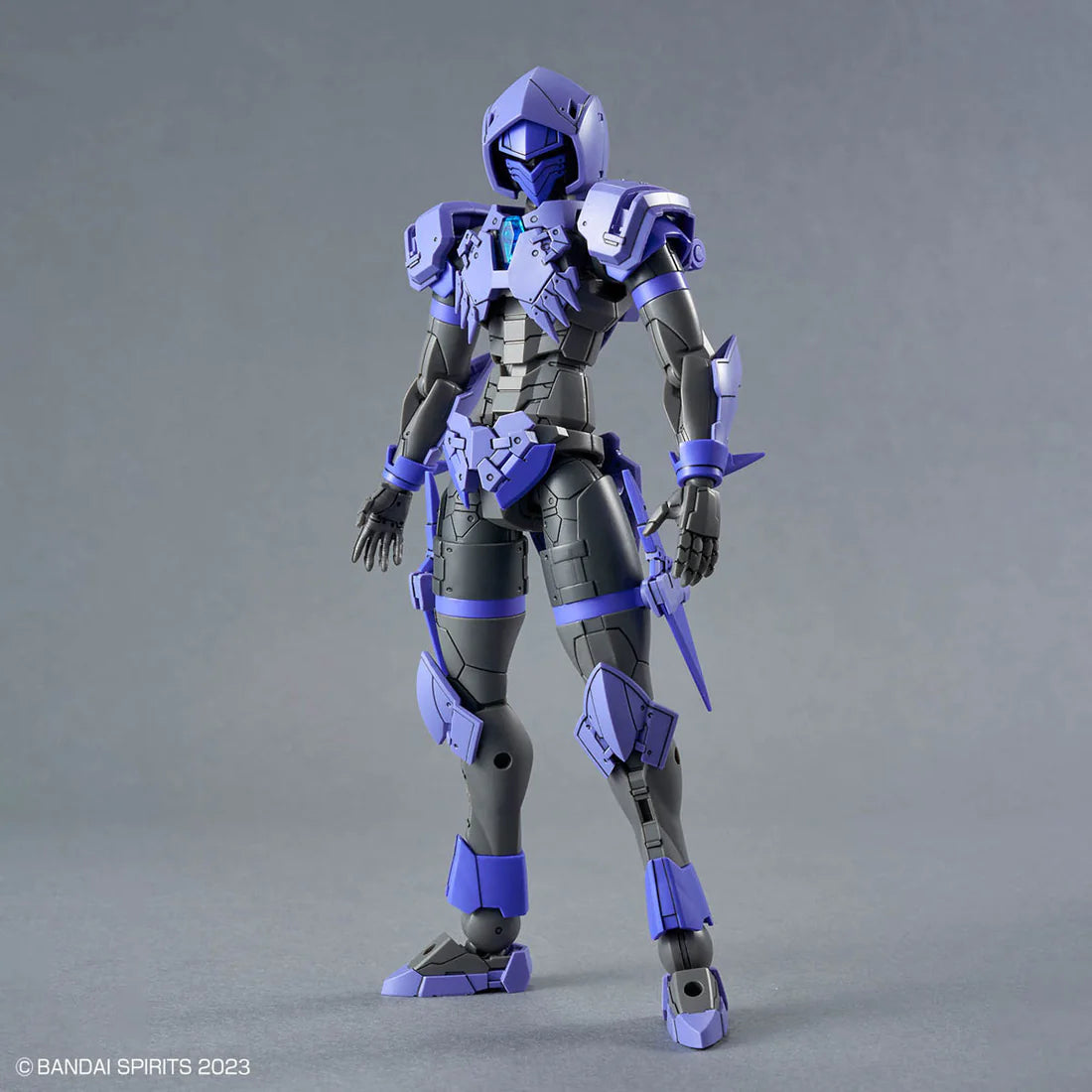 30 Minutes Fantasy Liber Assassin Model Kit