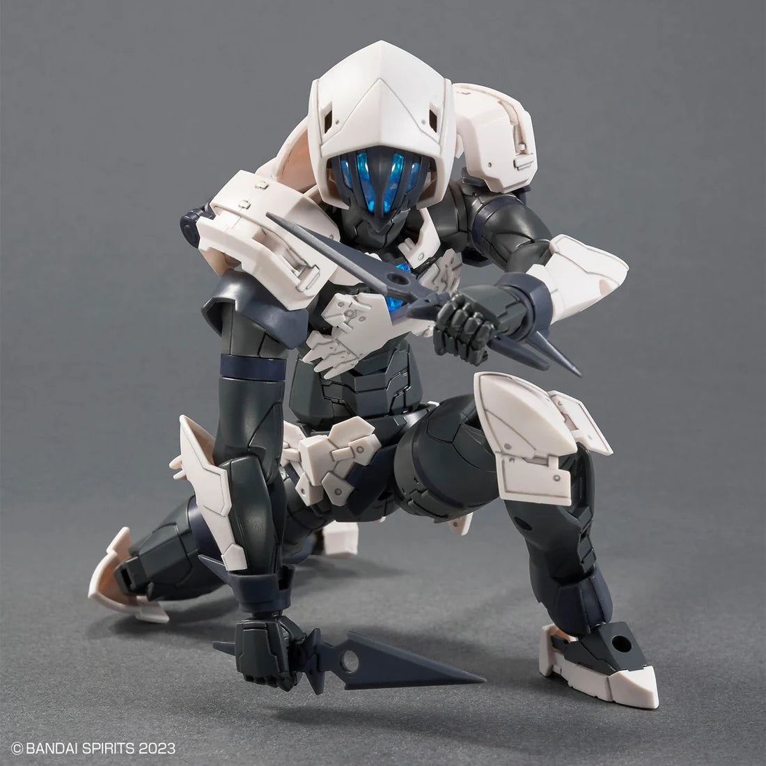 30 Minutes Fantasy Rosan Assassin Model Kit