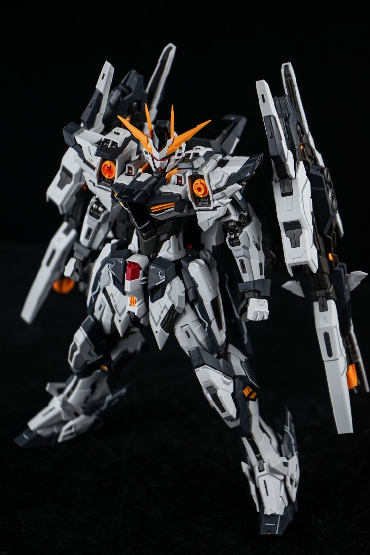 Iron Toys 1/100 Star Eternal – R4LUS