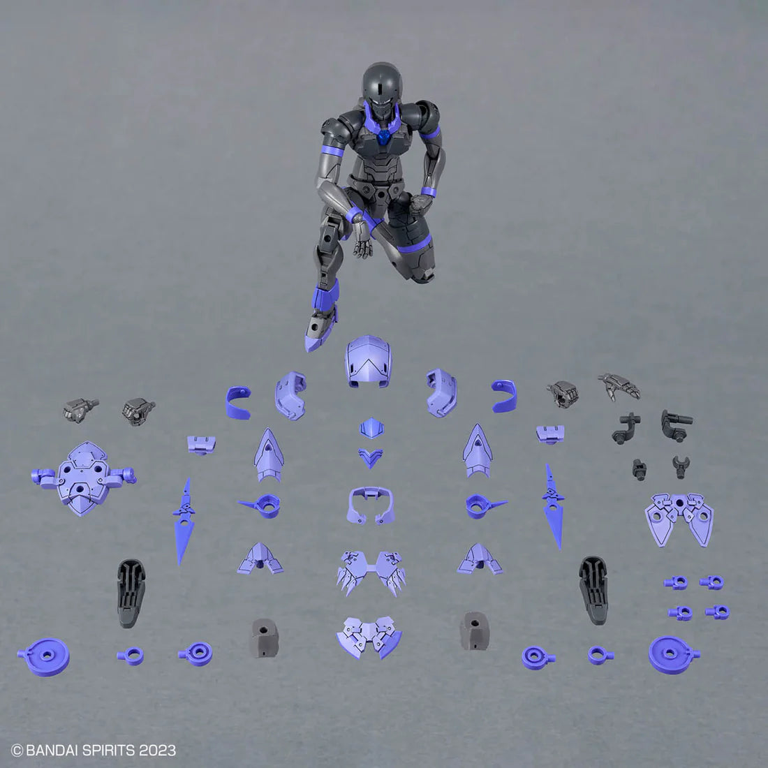 30 Minutes Fantasy Liber Assassin Model Kit