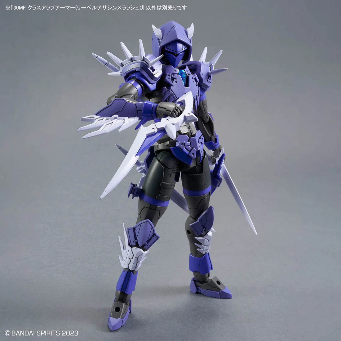 30 Minutes Fantasy Class-Up Armor Liber Assassin Slash Accessory Set