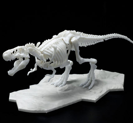 Dinosaur Model Kit Limex Skeleton Tyrannosaurus