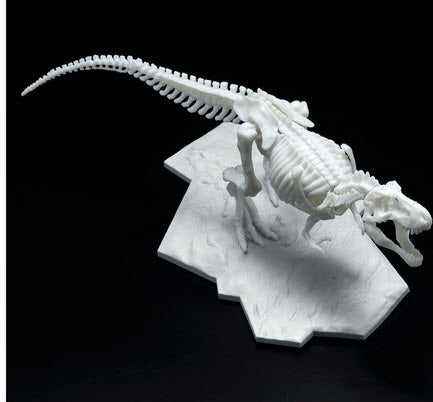 Dinosaur Model Kit Limex Skeleton Tyrannosaurus