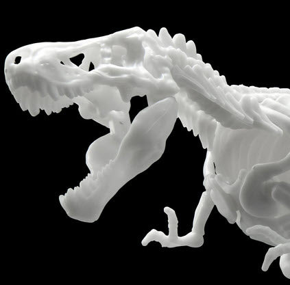Dinosaur Model Kit Limex Skeleton Tyrannosaurus