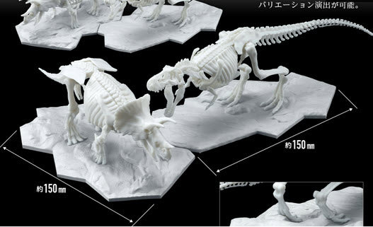 Dinosaur Model Kit Limex Skeleton Tyrannosaurus