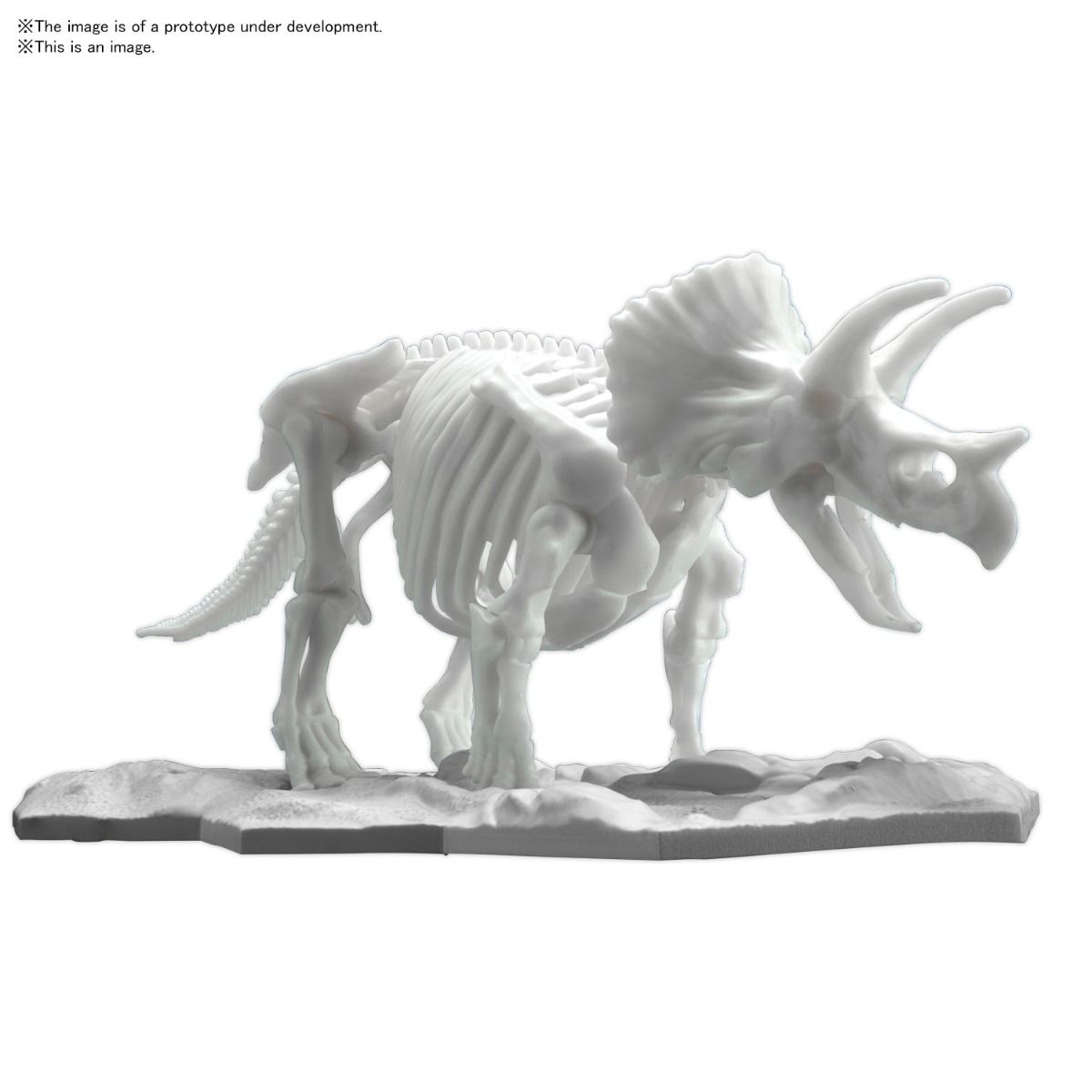 Dinosaur Model Kit Limex Skeleton Triceratops