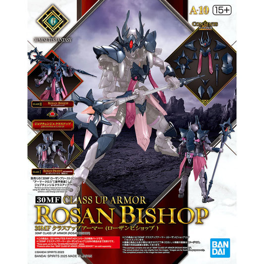 30 Minutes Fantasy Class-Up Armor Rosan Bishop Accessory Set