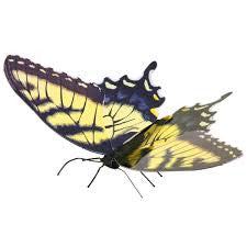 Tiger Swallowtail-Butterfly