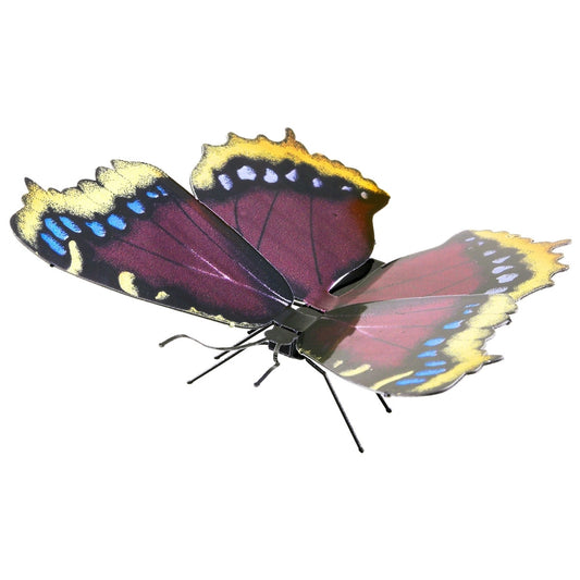 Mourning Cloak-Butterfly