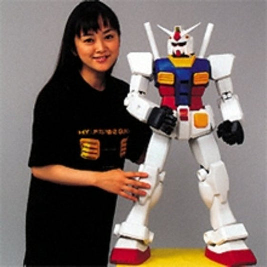HY2M 1/24 RX-78-2 Gundam Animation Color