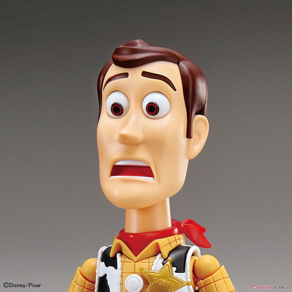 Toy Story 4 Woody