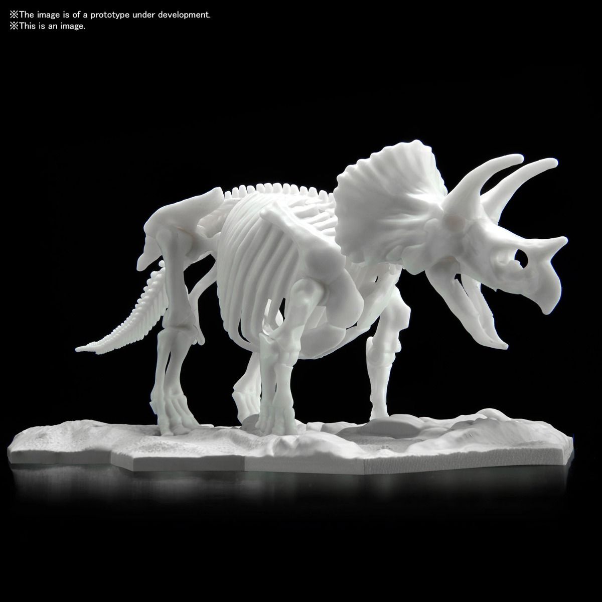 Dinosaur Model Kit Limex Skeleton Triceratops