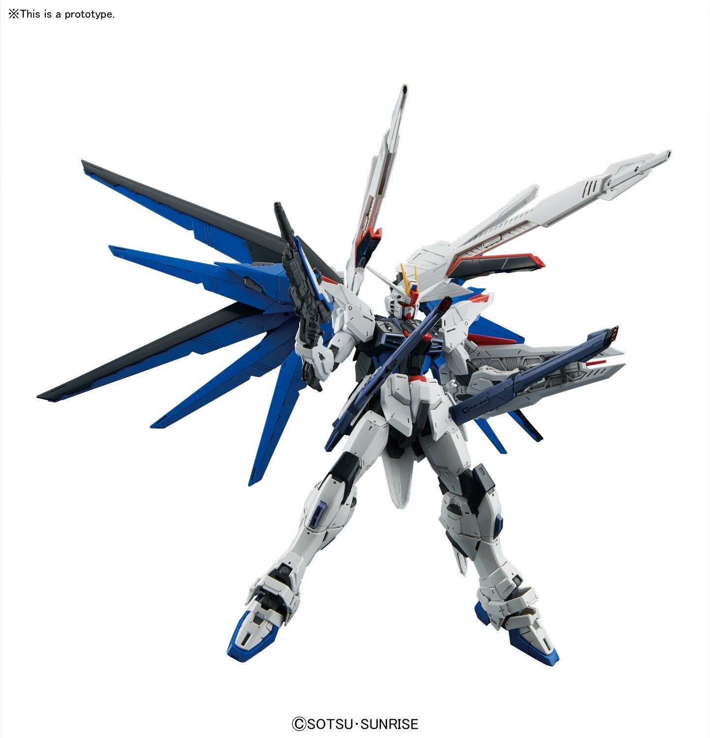 MG 1/100 Freedom Gundam Ver.2.0 & Figure-rise Bust Kira Yamato