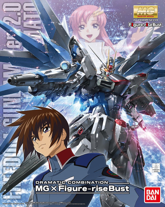 MG 1/100 Freedom Gundam Ver.2.0 & Figure-rise Bust Kira Yamato