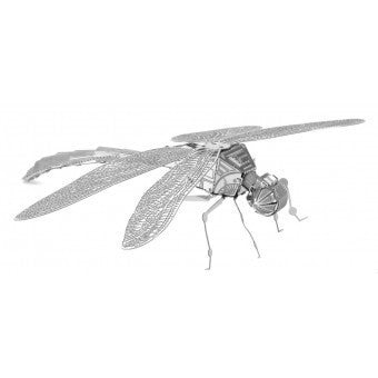Dragonfly 3D Laser Cut Model