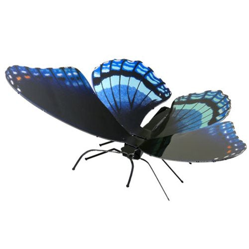 Red-spotted Purple-Butterfly