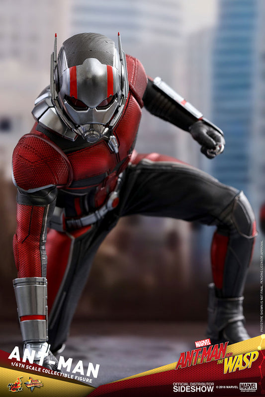 Ant-Man - Marvel's Ant-Man & The Wasp - Sixth Scale Figure by Hot Toys