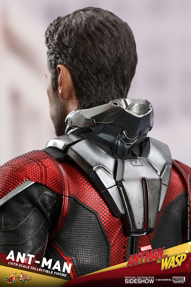 Ant-Man - Marvel's Ant-Man & The Wasp - Sixth Scale Figure by Hot Toys